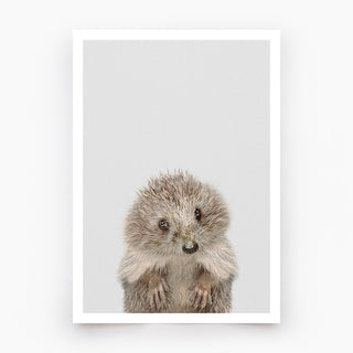 Hedgehog Art Print