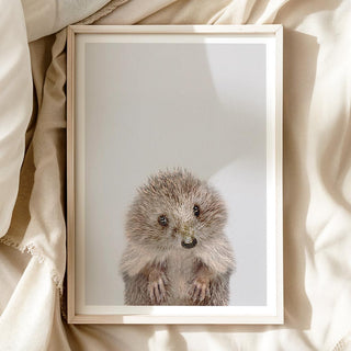 Bashful Hedgehog Nursery Print – Woodland Baby Room Wall Art