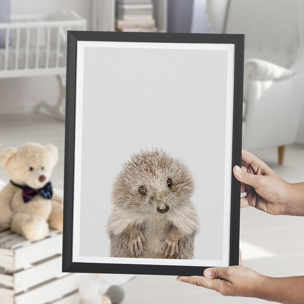 nursery animal prints hedgehog