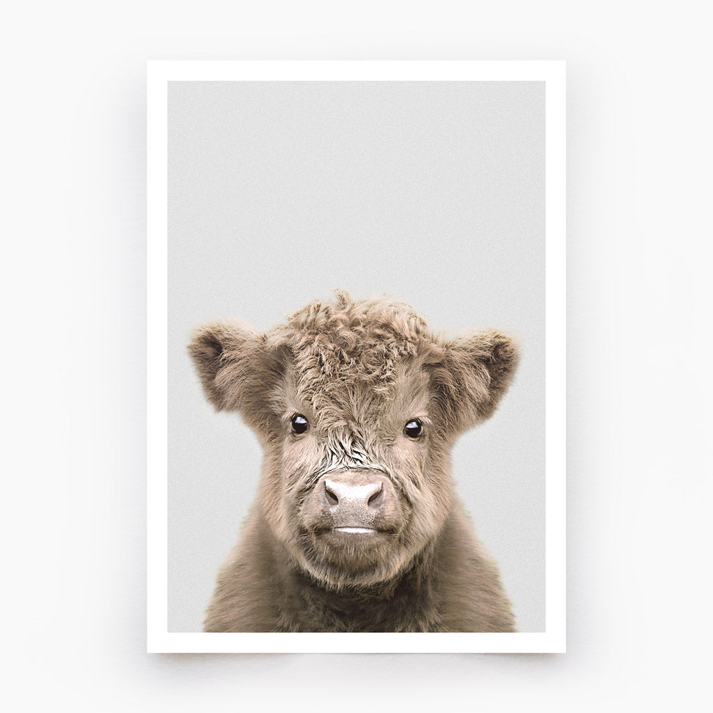 Highland Cow Calf Art Print