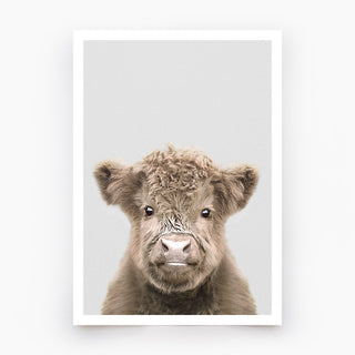 Highland Cow Calf Art Print