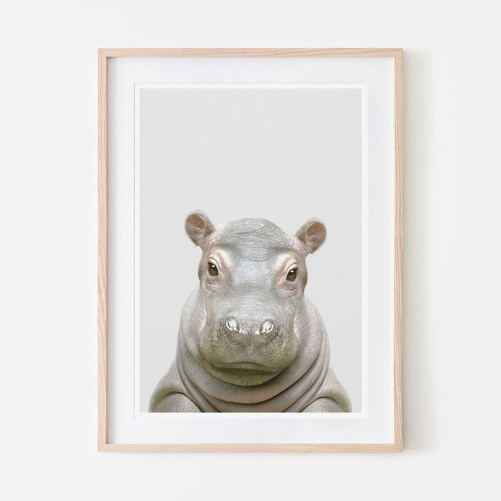 an art print of a hippo