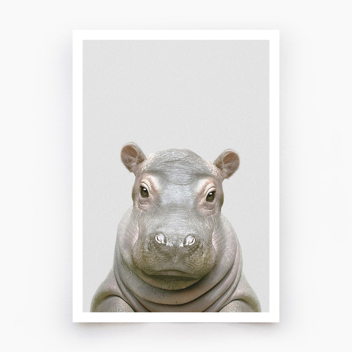 Hippo Art Print