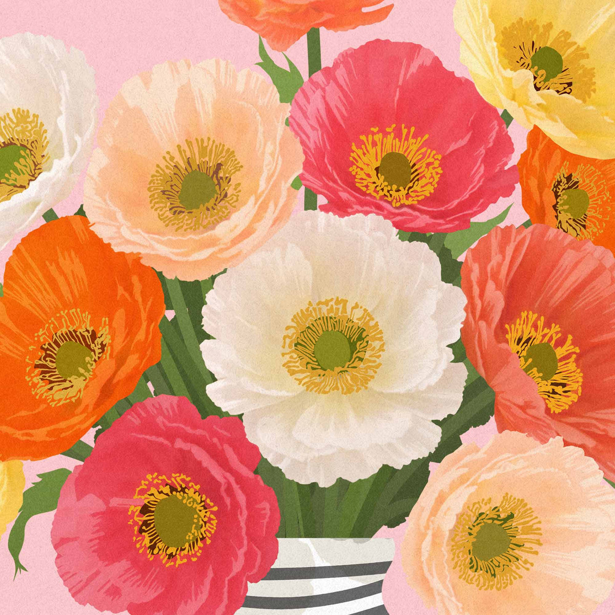 A colorful floral illustration featuring a bouquet of anemone flowers in shades of pink, orange, peach, yellow, and white, with green stems and leaves, set against a light pink background.