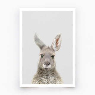 Kangaroo Art Print