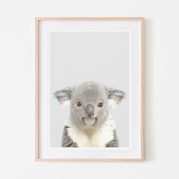 an art print of a koala