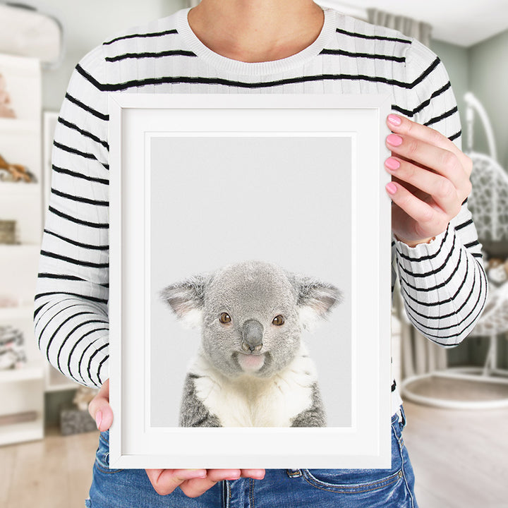 koala bear nursery decor 
