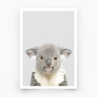 Koala Art Print