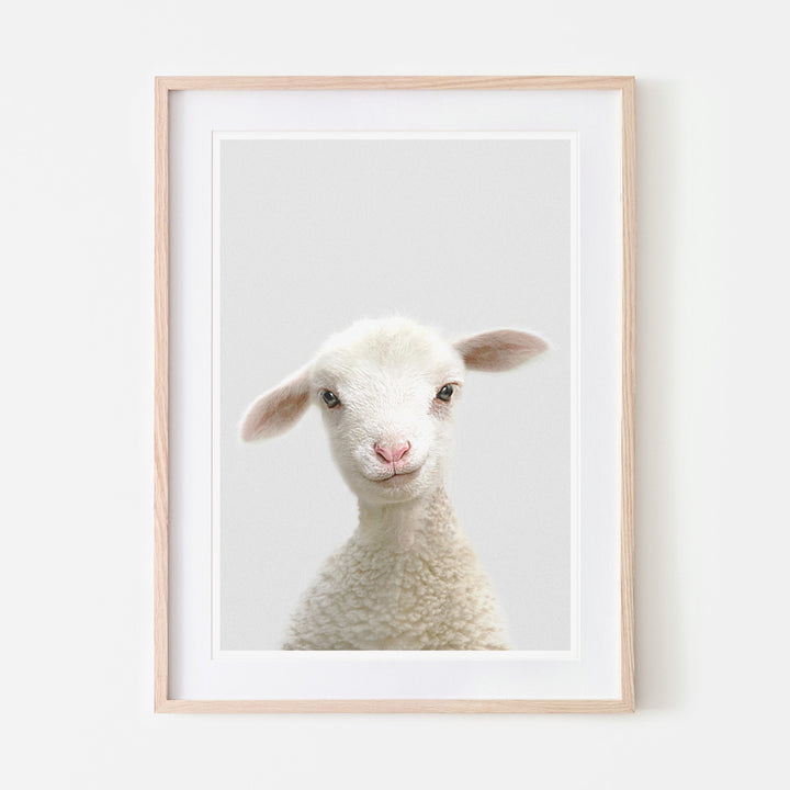 an art print of a lamb