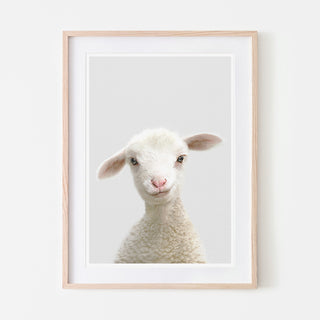 an art print of a lamb