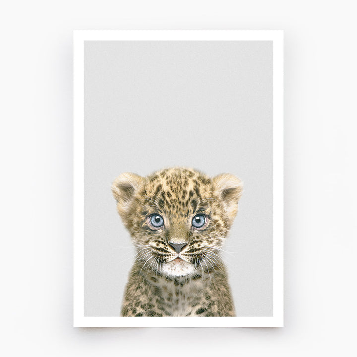 Leopard Cub Art Print