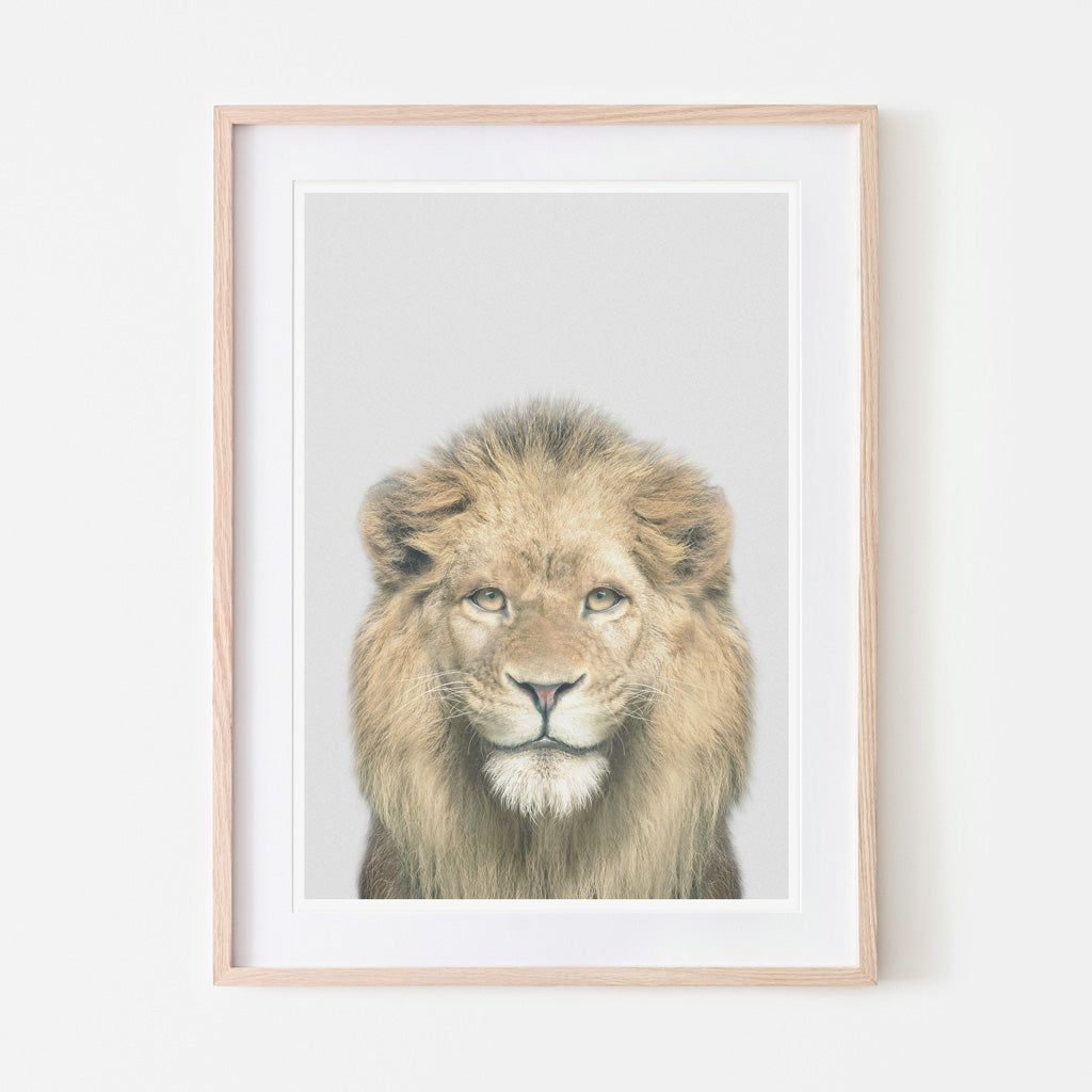 an art print of a lion