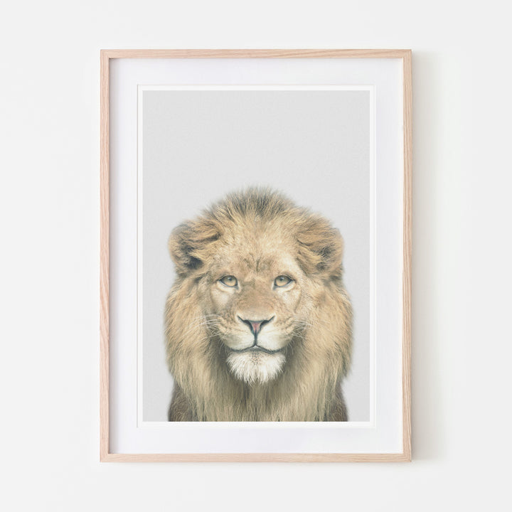 an art print of a lion