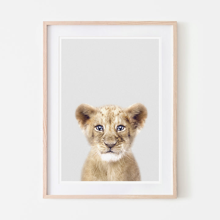 an art print of a lion cub