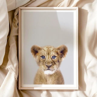 Lion Cub Nursery Print – Safari Nursery Wall Art