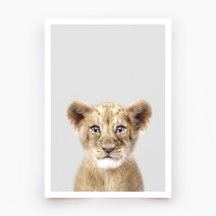 Lion Cub Art Print