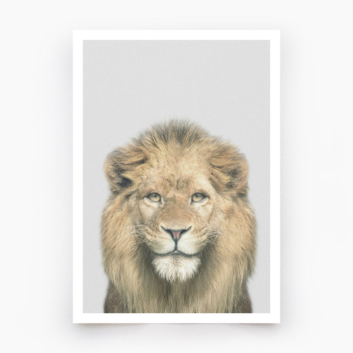 Lion Art Print