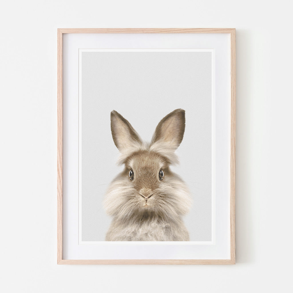 an art print of a lionhead rabbit