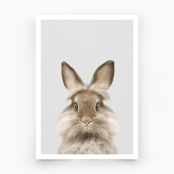 Lionhead Rabbit Art Print