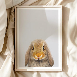 Huggable Lop Rabbit Nursery Print – Woodland Animal Nursery Wall Decor