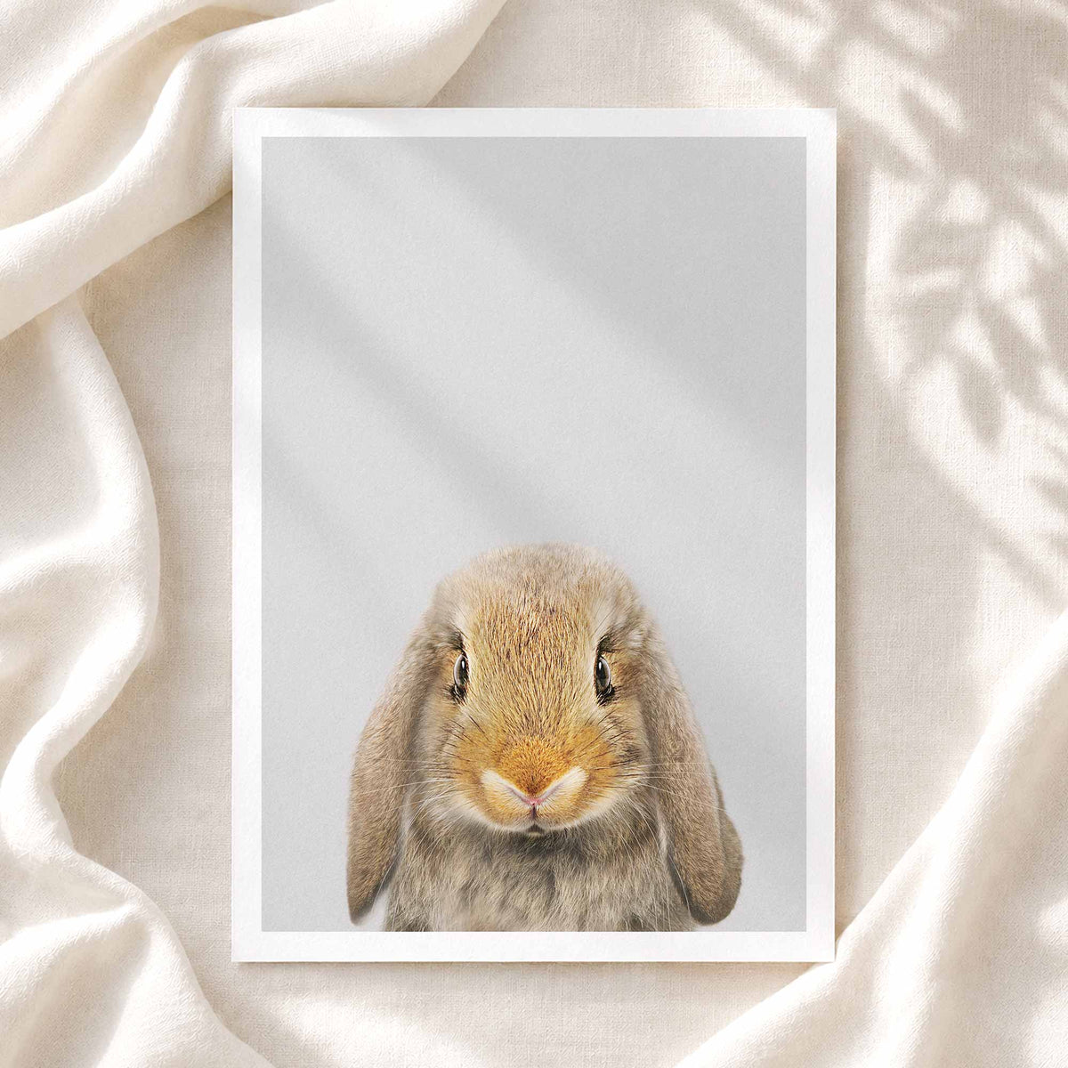 Lop Rabbit - Nursery Animal Print
