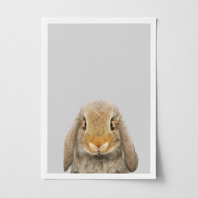 Lop Rabbit Nursery Print - Floppy Eared Bunny Wall Art for Children