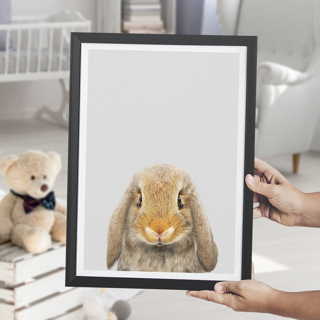 nursery animal prints lop rabbit