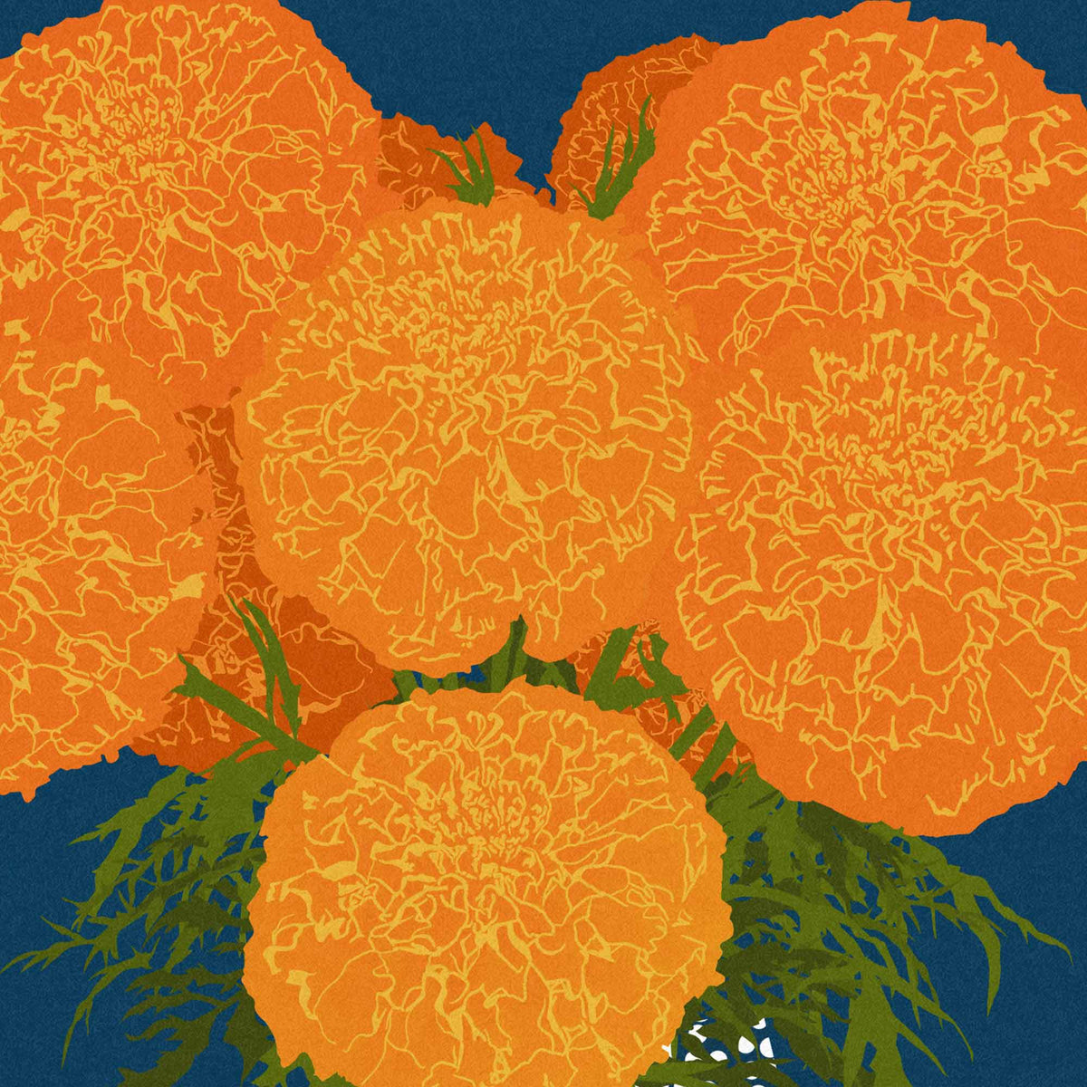 A stylized floral artwork showing several large orange marigold-like flowers with green leaves against a dark blue background.