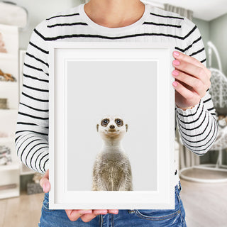 meerkat nursery decor 