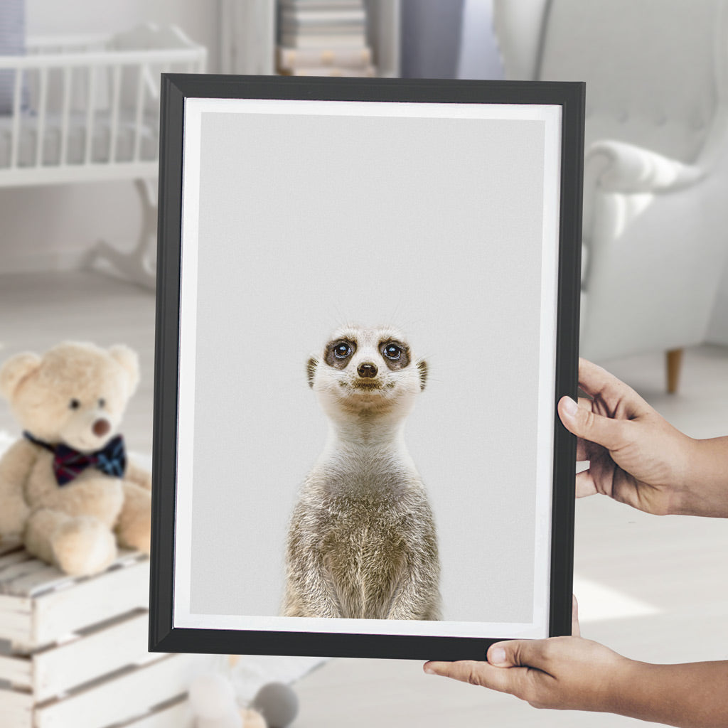 nursery animal prints meerkat