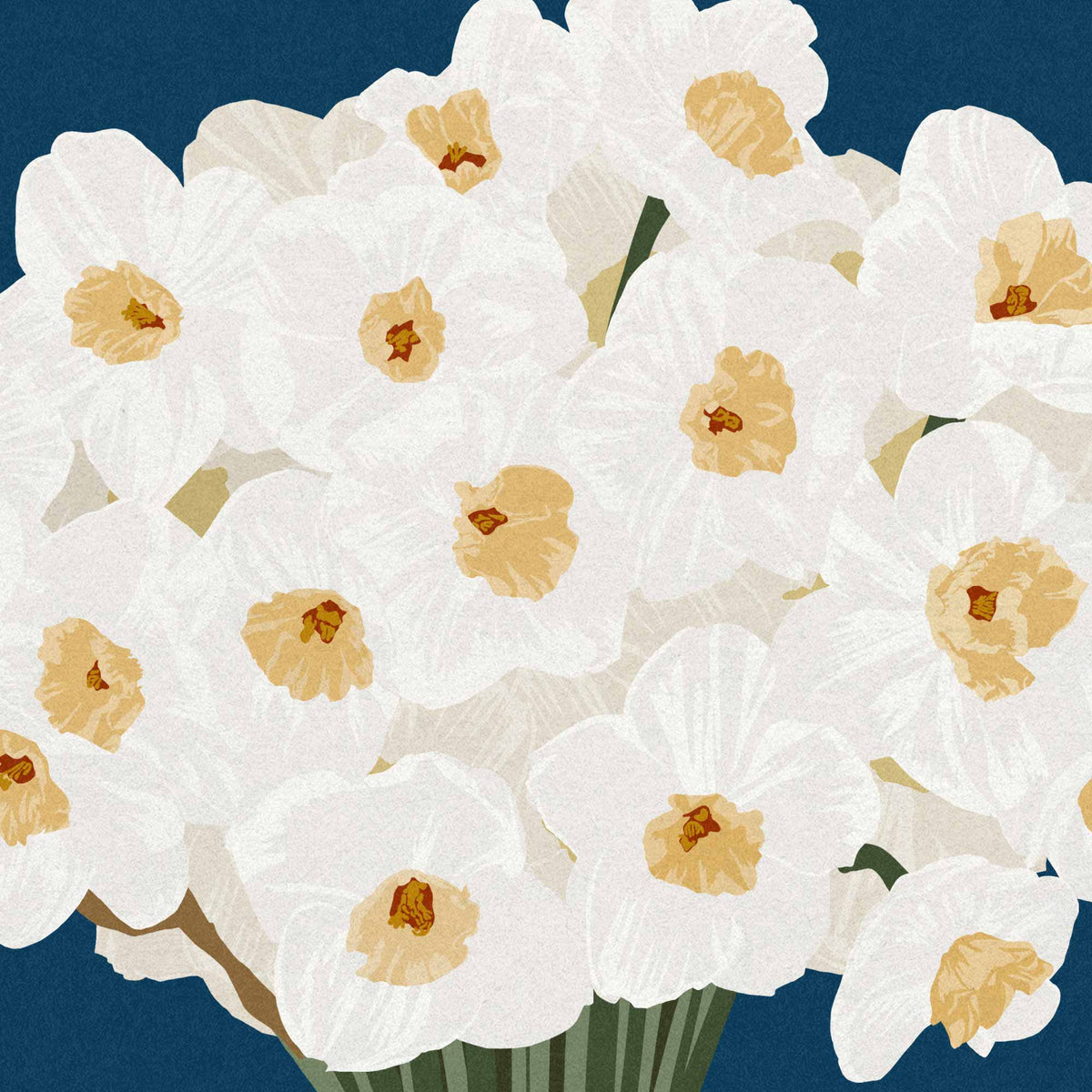 A dense bouquet of white daffodils with pale yellow centers and green stems, illustrated against a dark blue background.