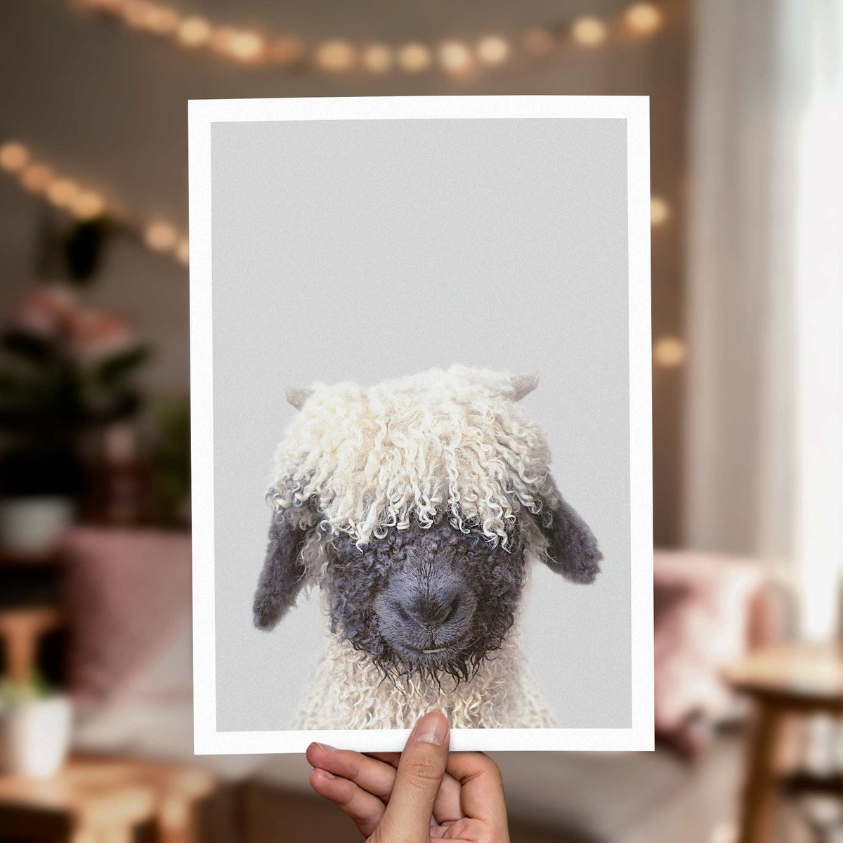 Black Nose Sheep - Nursery Animal Print