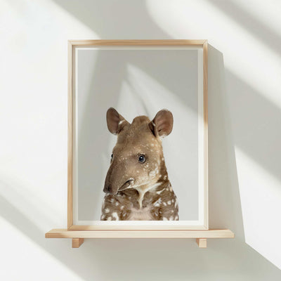 Baby Tapir - Nursery Animal Print