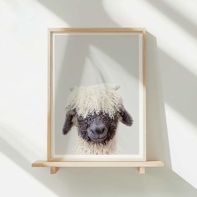 Black Nose Sheep - Nursery Animal Print