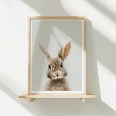 Rabbit - Nursery Animal Print