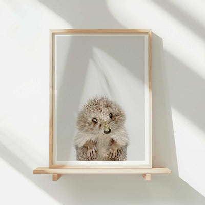 Hedgehog - Nursery Animal Print