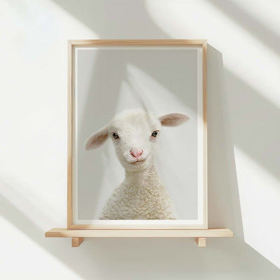 Lamb - Nursery Animal Print