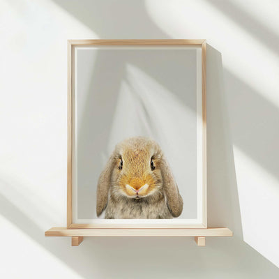 Lop Rabbit - Nursery Animal Print
