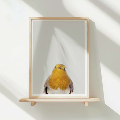 Robin - Nursery Animal Print