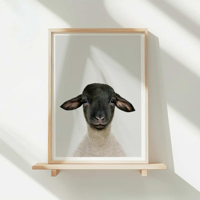 Suffolk Sheep - Nursery Animal Print