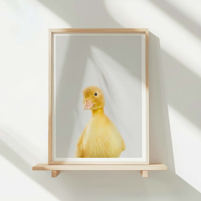 Duckling - Nursery Animal Print