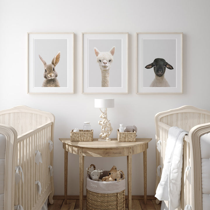 set of three nursery animal prints including an alpaca 