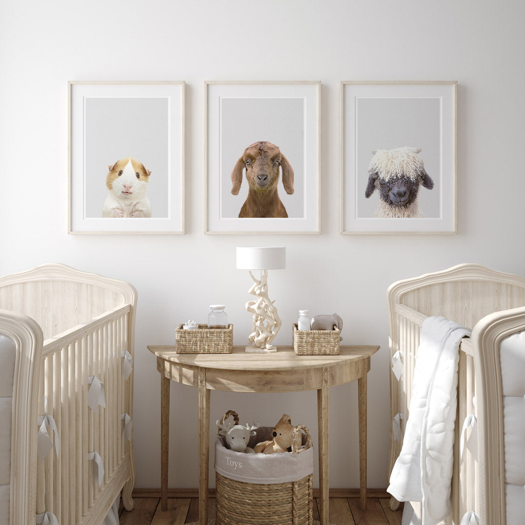 set of three nursery animal prints including a baby goat