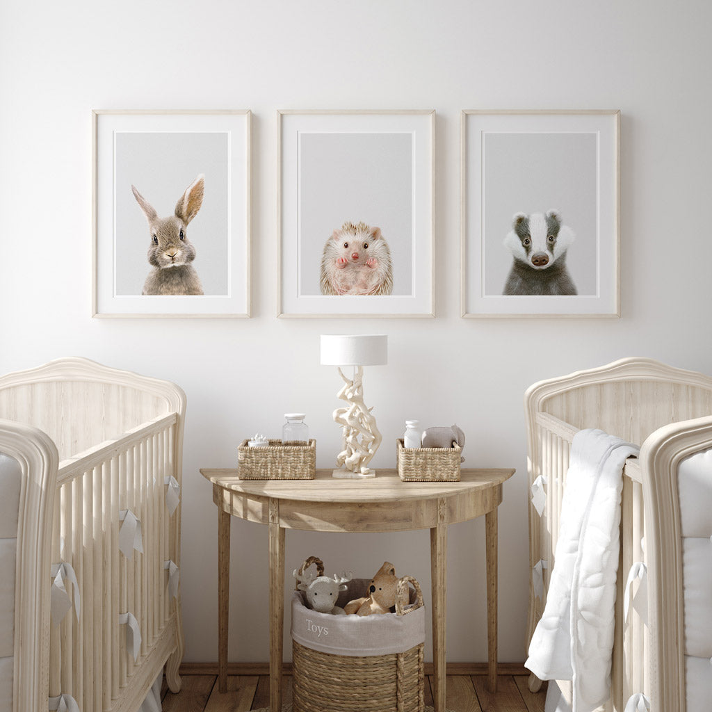 set of three nursery animal prints including a baby hedgehog