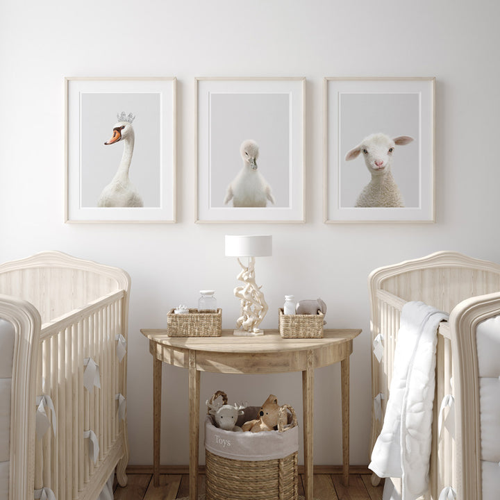 set of three nursery animal prints including a baby swan