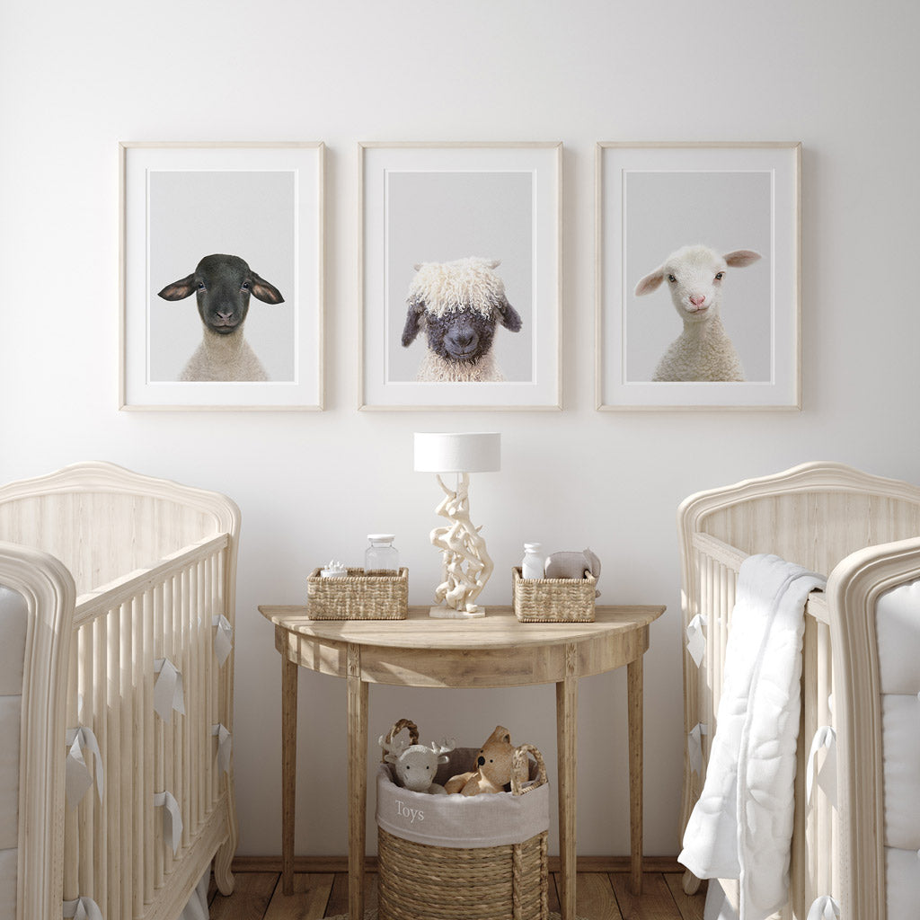 set of three nursery animal prints including a blacknose sheep