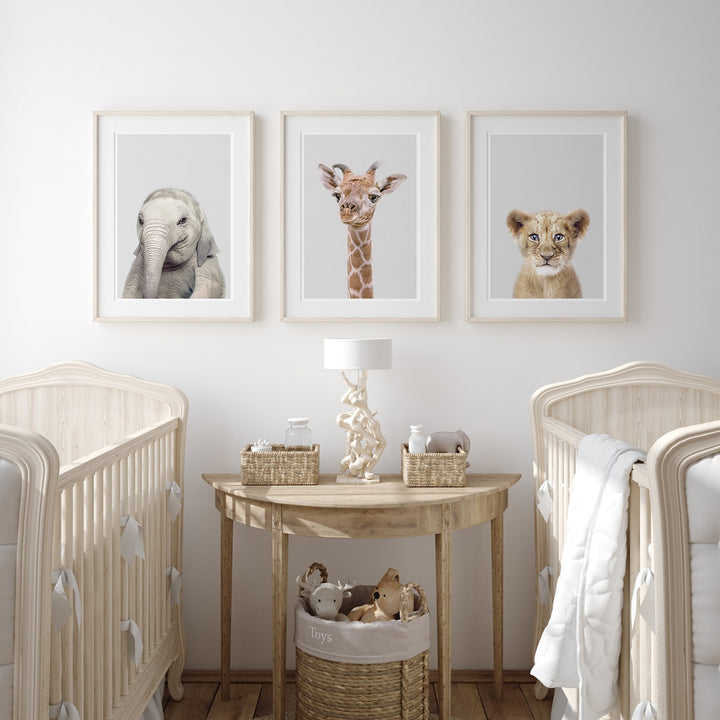 set of three nursery animal prints including a giraffe