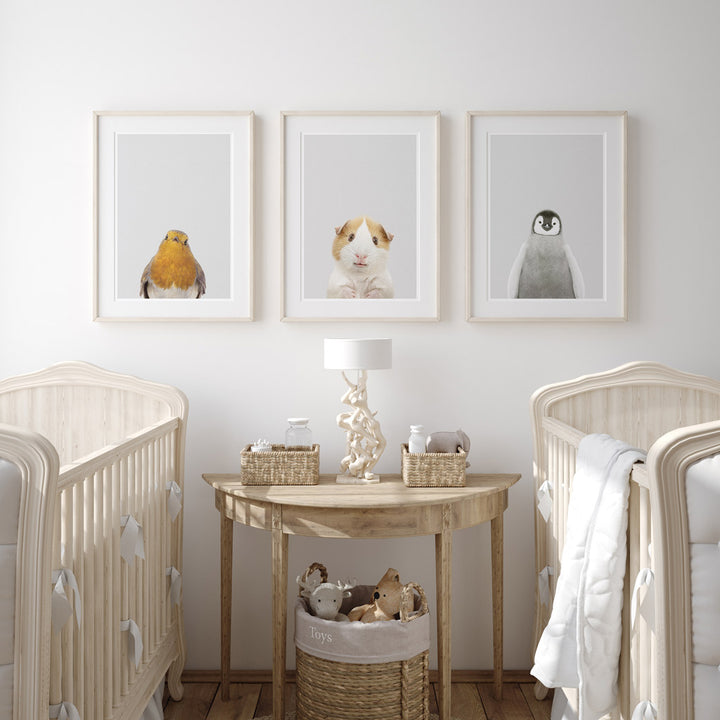 set of three nursery animal prints including a guinea pig