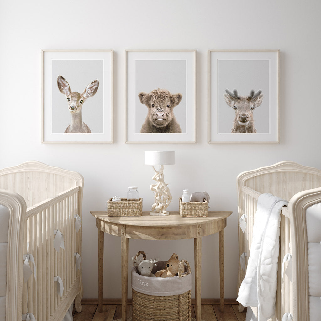 set of three nursery animal prints including a highland cow calf