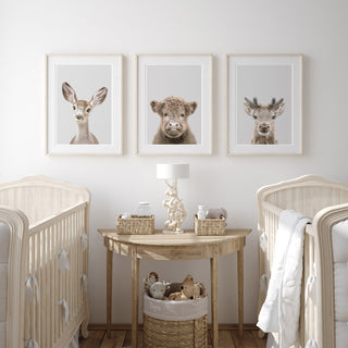 set of three nursery animal prints including a highland cow calf